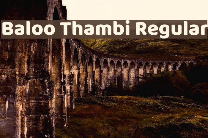 Baloo Thambi Regular Font examples