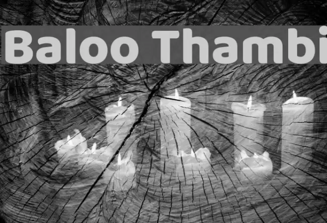 Baloo Thambi Font examples
