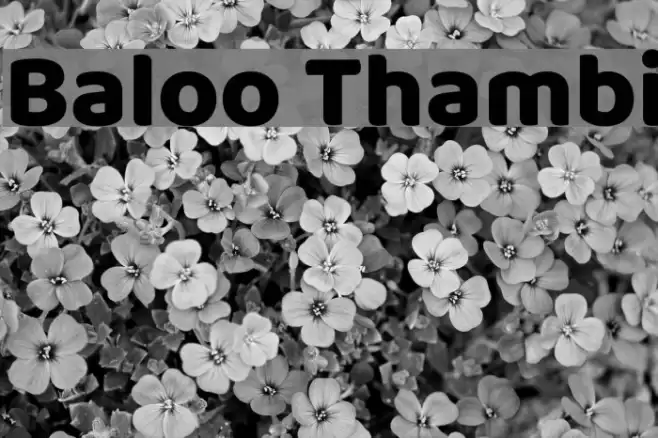 Baloo Thambi Font examples