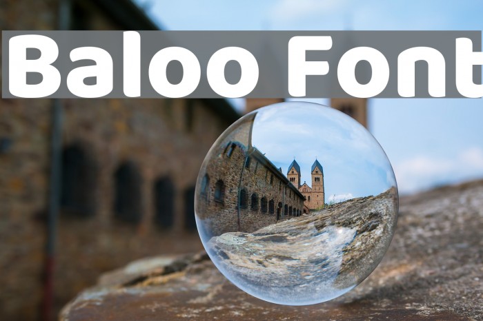 Baloo Font examples