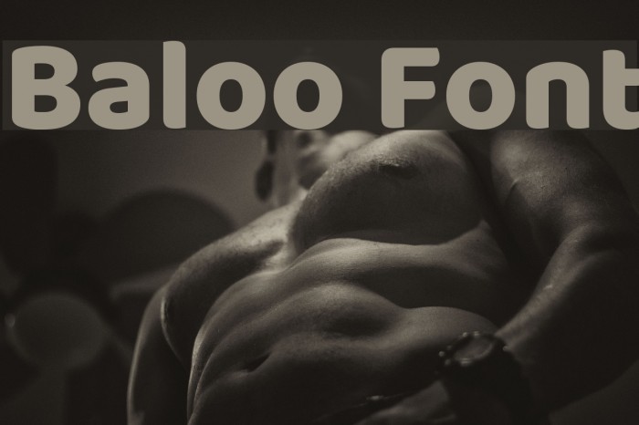 Baloo Font examples