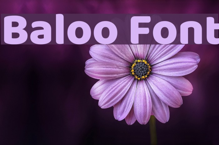 Baloo Font examples
