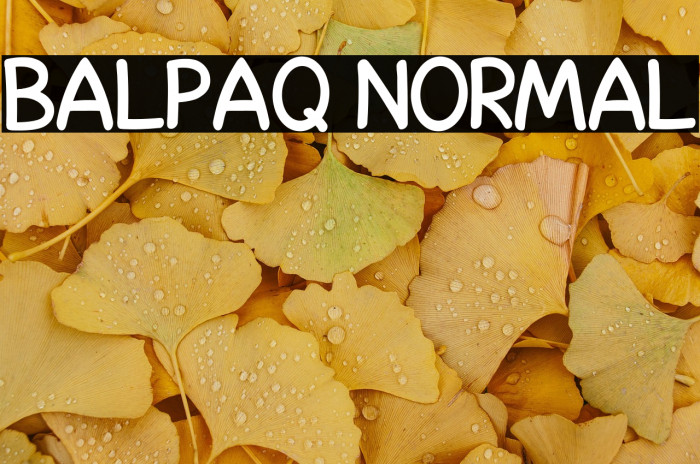 Balpaq Normal Example 1