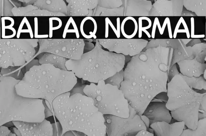 Balpaq Normal Example 1