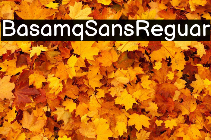 Balsamiq Sans Regular Example 3