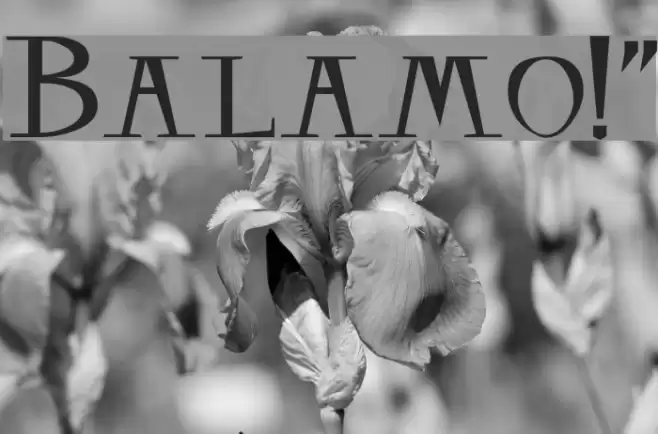 Balsamo!
