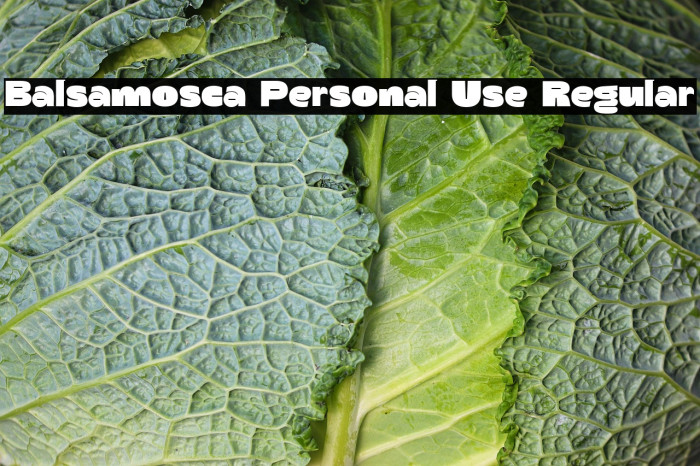 Balsamosca Personal Use Regular Example 3