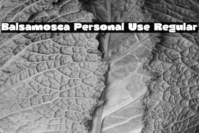Balsamosca Personal Use Regular Example 3