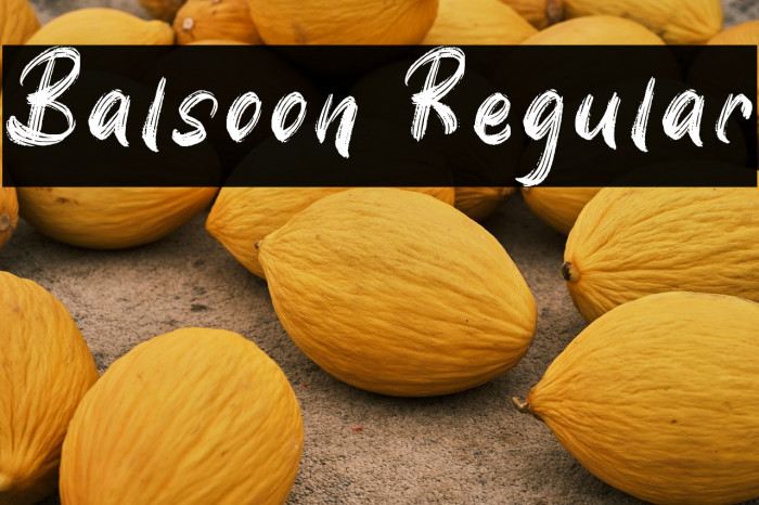 Balsoon Regular Example 1