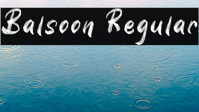 Balsoon Regular Example 3