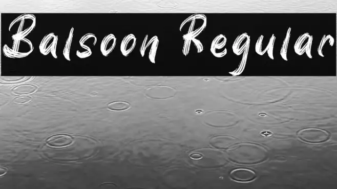 Balsoon Regular Example 3
