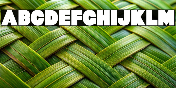 Baltar-Regular Example 1