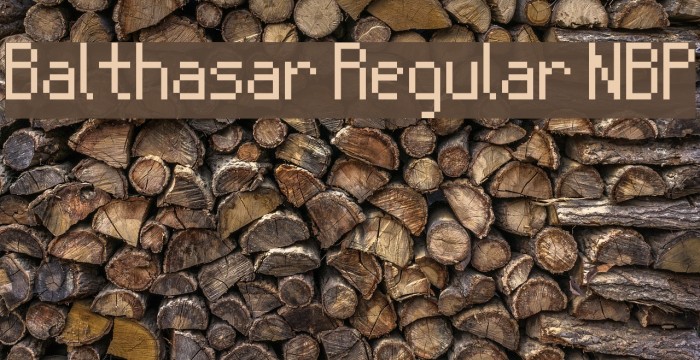 Balthasar Regular NBP Font examples