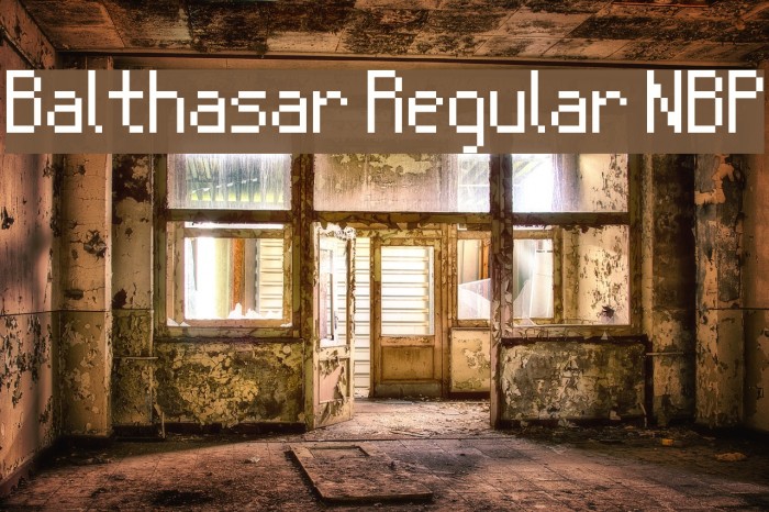 Balthasar Regular NBP Font examples