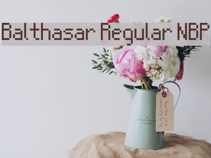 Balthasar Regular NBP Font examples