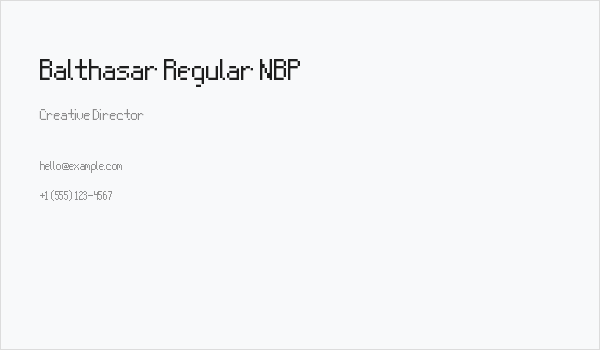 Balthasar Regular NBP Business Card