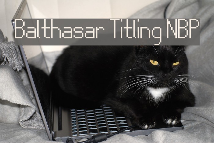 Balthasar Titling NBP Font examples