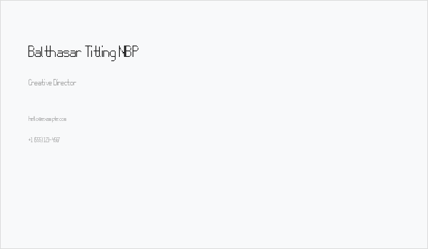 Balthasar Titling NBP Business Card