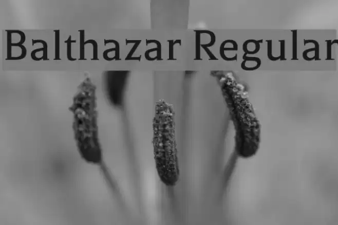Balthazar Regular Font examples