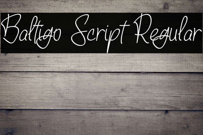 Baltigo Script Regular Example 1