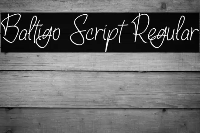 Baltigo Script Regular Font examples