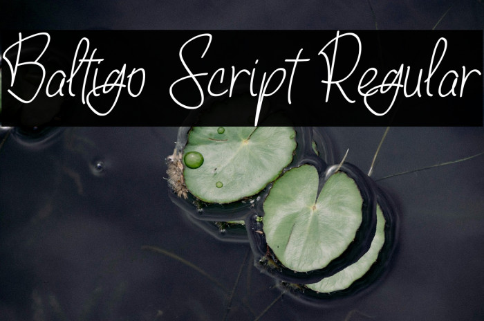 Baltigo Script Regular Example 2