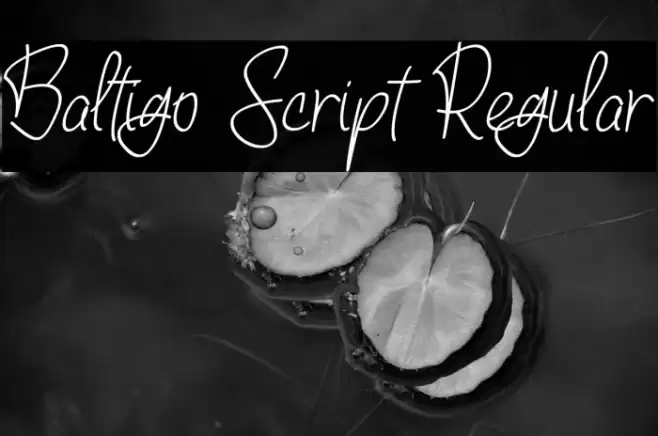 Baltigo Script Regular Font examples