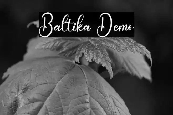 Baltika Demo Font examples