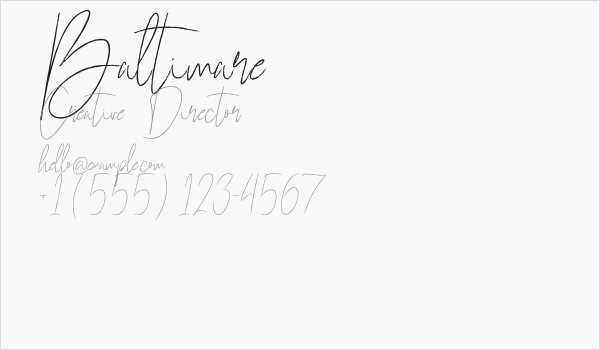 Baltimare Business Card