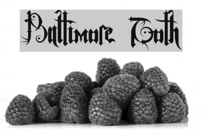 Baltimore Goth Example 2