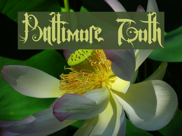 Baltimore Goth Font examples