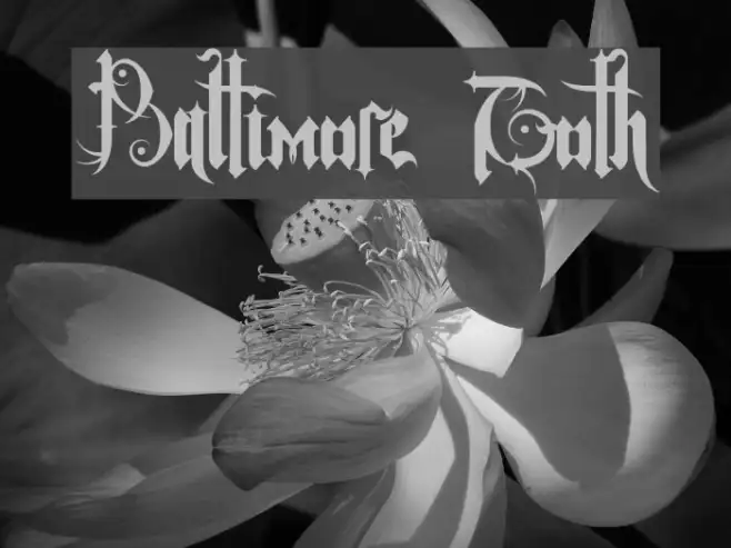 Baltimore Goth Example 3