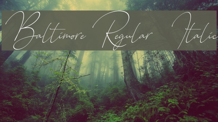 Baltimore Regular - Italic Font examples