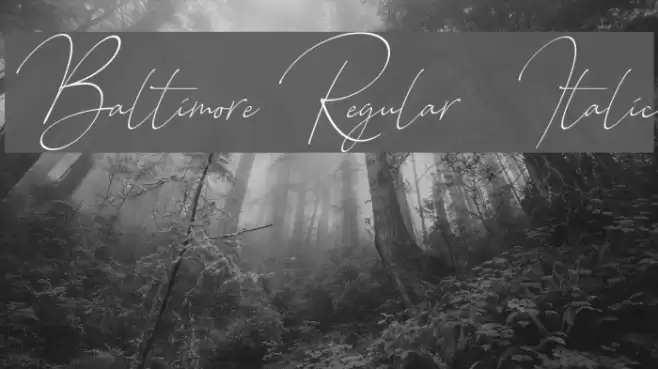 Baltimore Regular - Italic Font examples