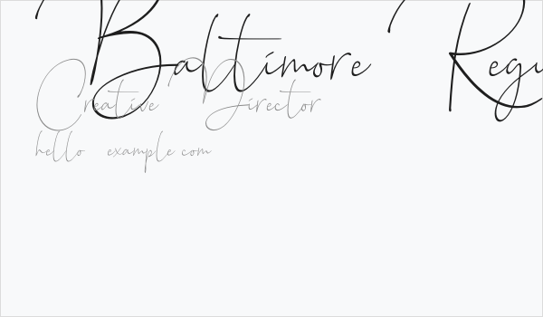 Baltimore Regular Business Card