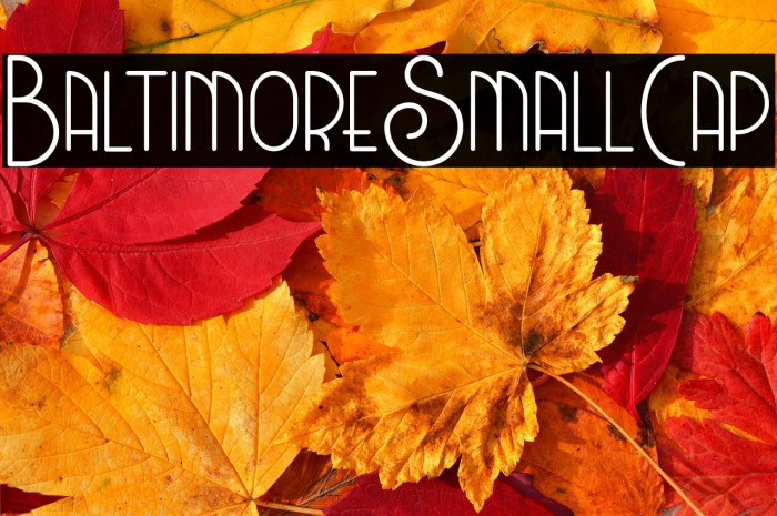 BaltimoreSmallCap Example 1