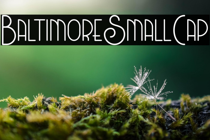 BaltimoreSmallCap Example 3