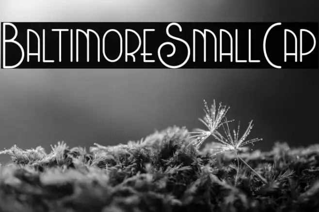 BaltimoreSmallCap Example 3