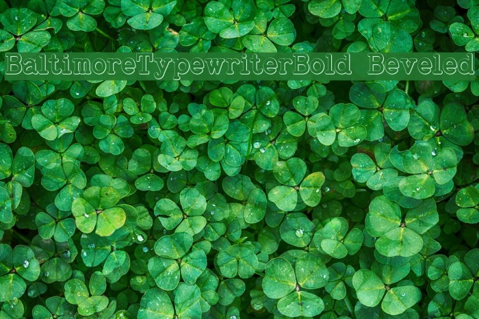 BaltimoreTypewriterBold Beveled Font examples