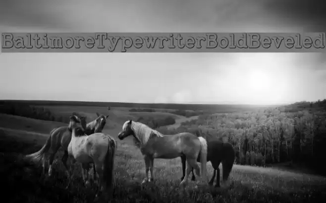 BaltimoreTypewriterBoldBeveled Font examples