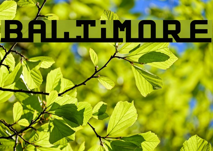 Baltimore Font examples
