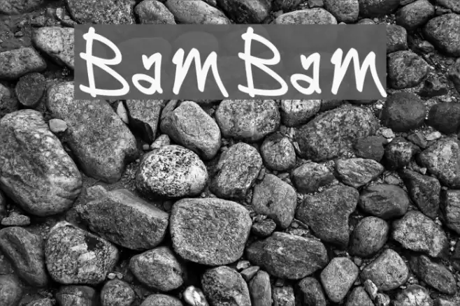BamBam Polices examples