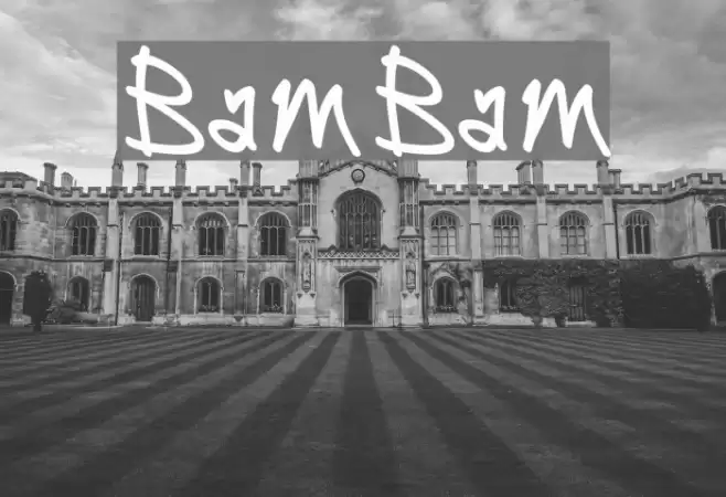 BamBam Polices examples