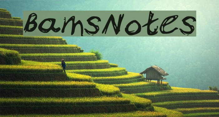 Bam_s_Notes Font examples