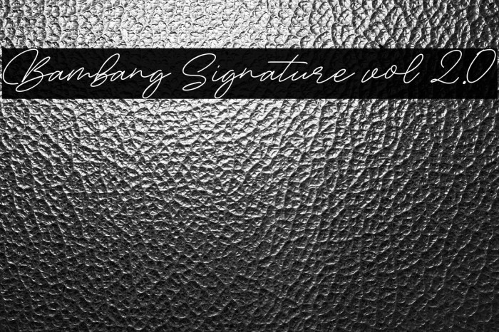 Bambang Signature vol 2.0 Example 2