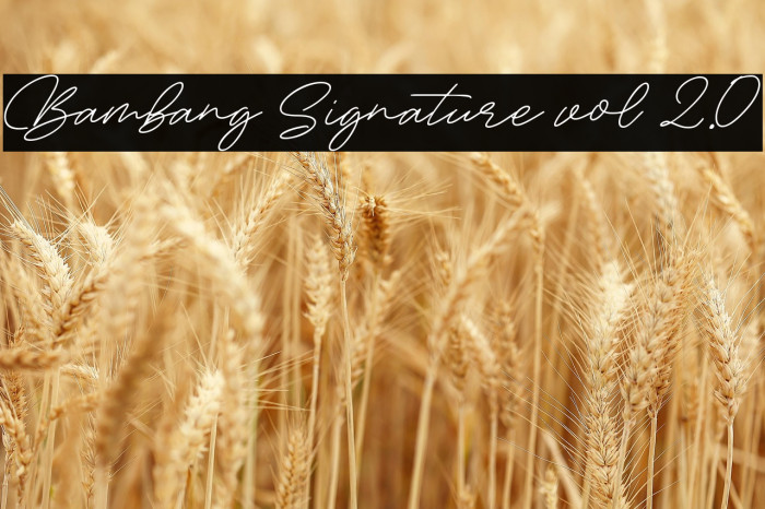 Bambang Signature vol 2.0 Example 3