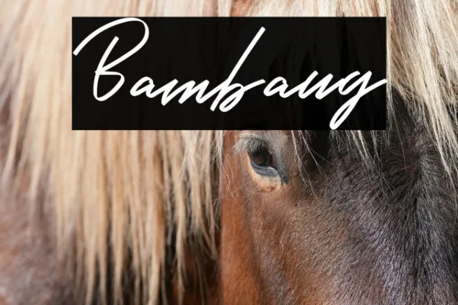 Bambang Example 2