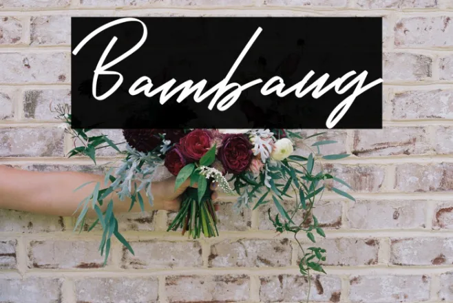 Bambang Example 3