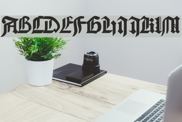 Bamberg Plain Font examples