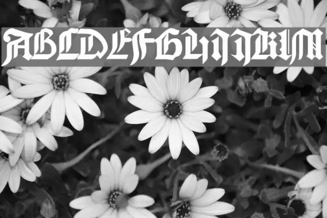 Bamberg Plain Font examples